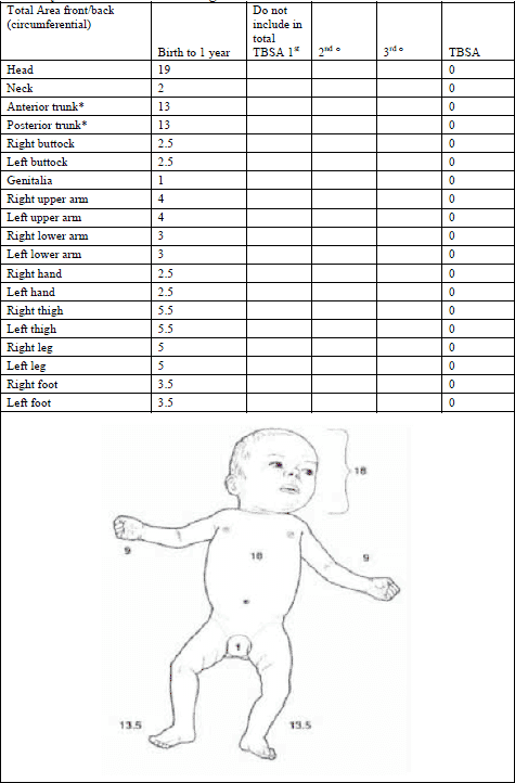 Image of the INFANT  BURN  ESTIMATE  AND  DIAGRAM 