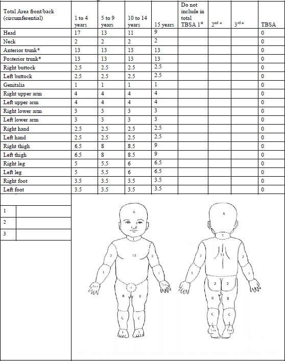 Image of the CHILD  BURN  ESTIMATE  AND  DIAGRAM worksheet 