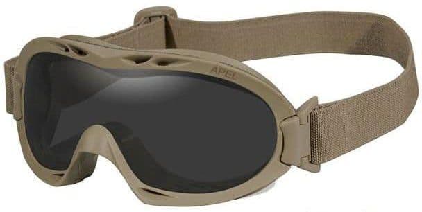 Figure 28. APEL eye gear.