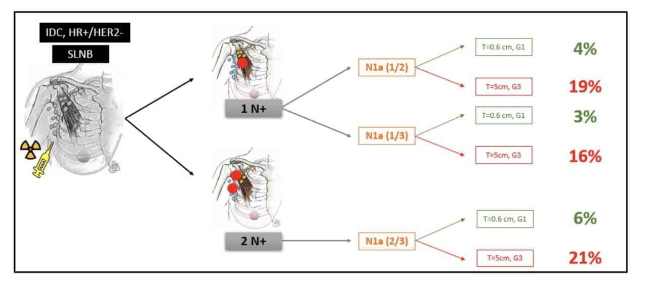 A diagram of the acupuncture process

Description automatically generated